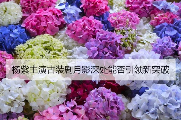 杨紫主演古装剧月影深处能否引领新突破